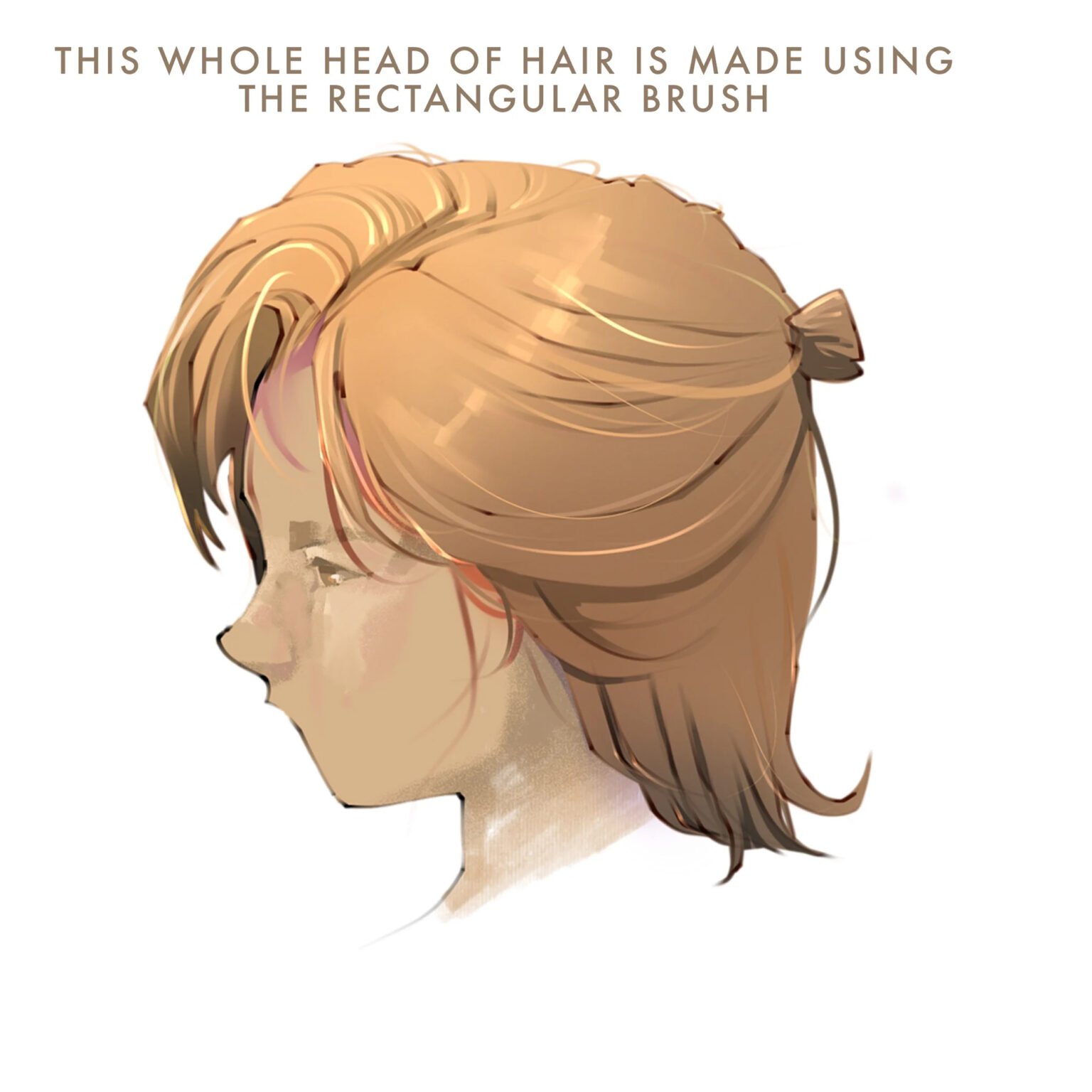 Free Basic Brushes For Procreate Librium