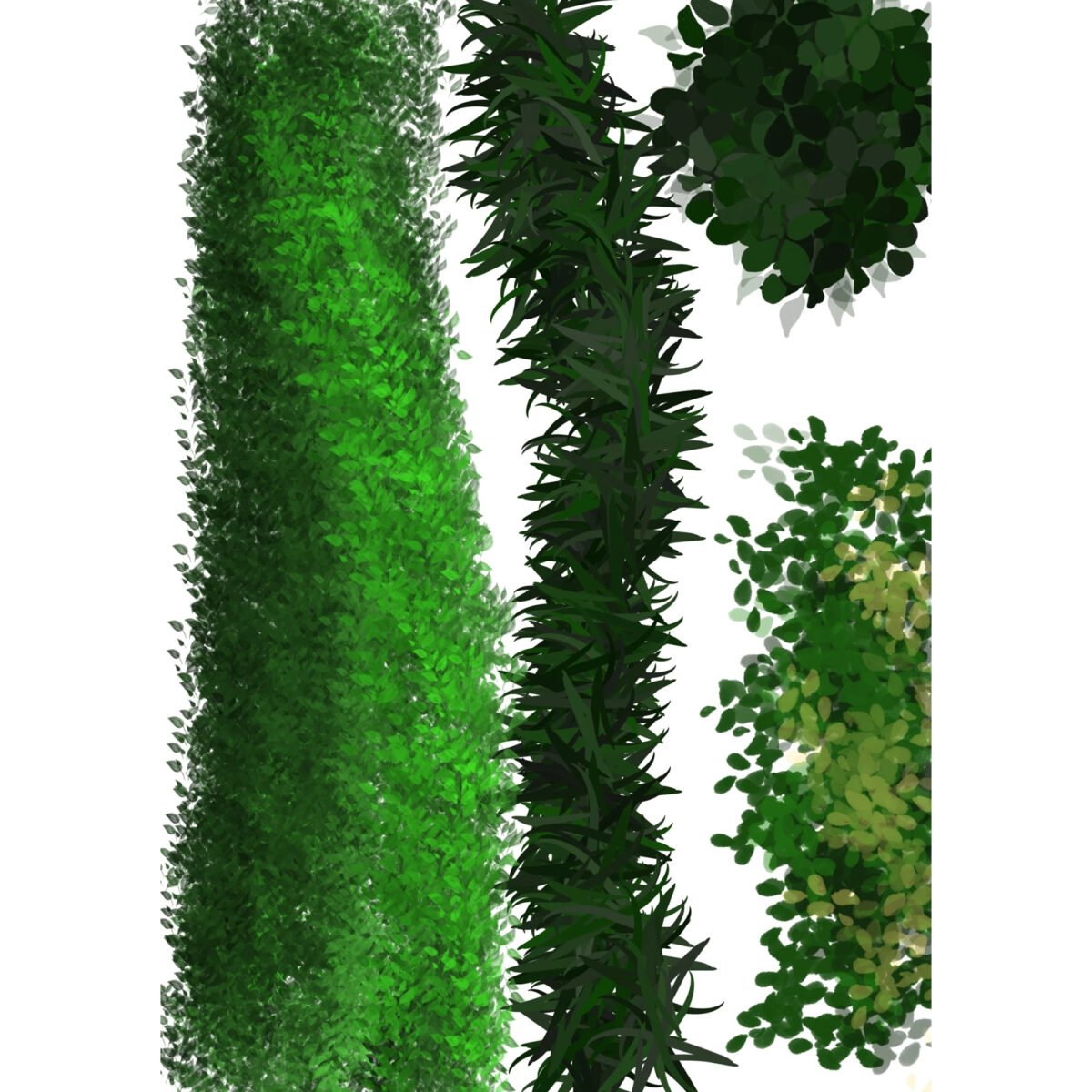 Free Botanical Brushes for Procreate - LIBRIUM